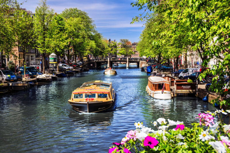 Canal cruise boat sailing through the Prinsengracht in Amsterdam with tree-lined canal banks and spring flowers in the foreground